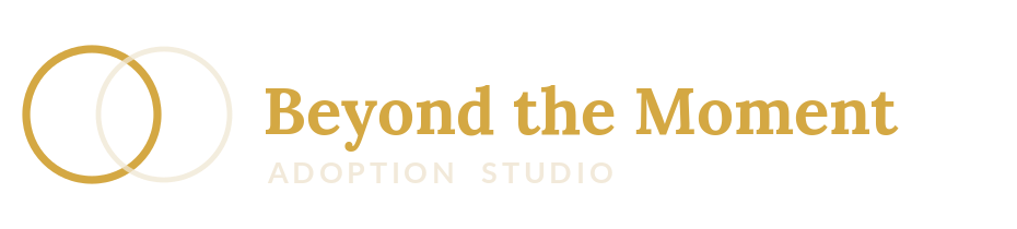 Beyond the Moment Adoption Studio